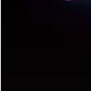 Meet your Posher, Riley